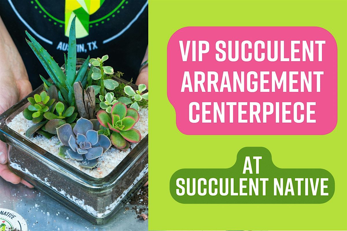 VIP Succulent Arrangement Centerpiece