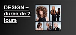 REDKEN CANADA Principe du DESIGN 2  Avanc\u00e9,  dur\u00e9e de 2 jours REDKEN