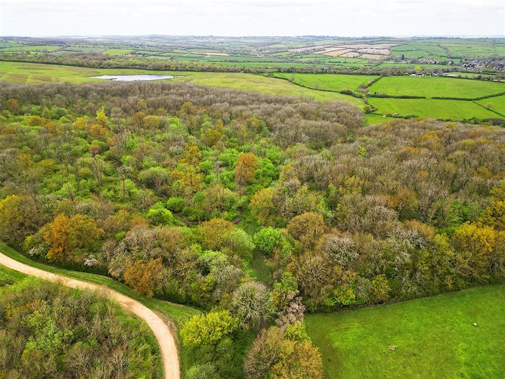 Reserves Discovery for Members  - Priors Coppice