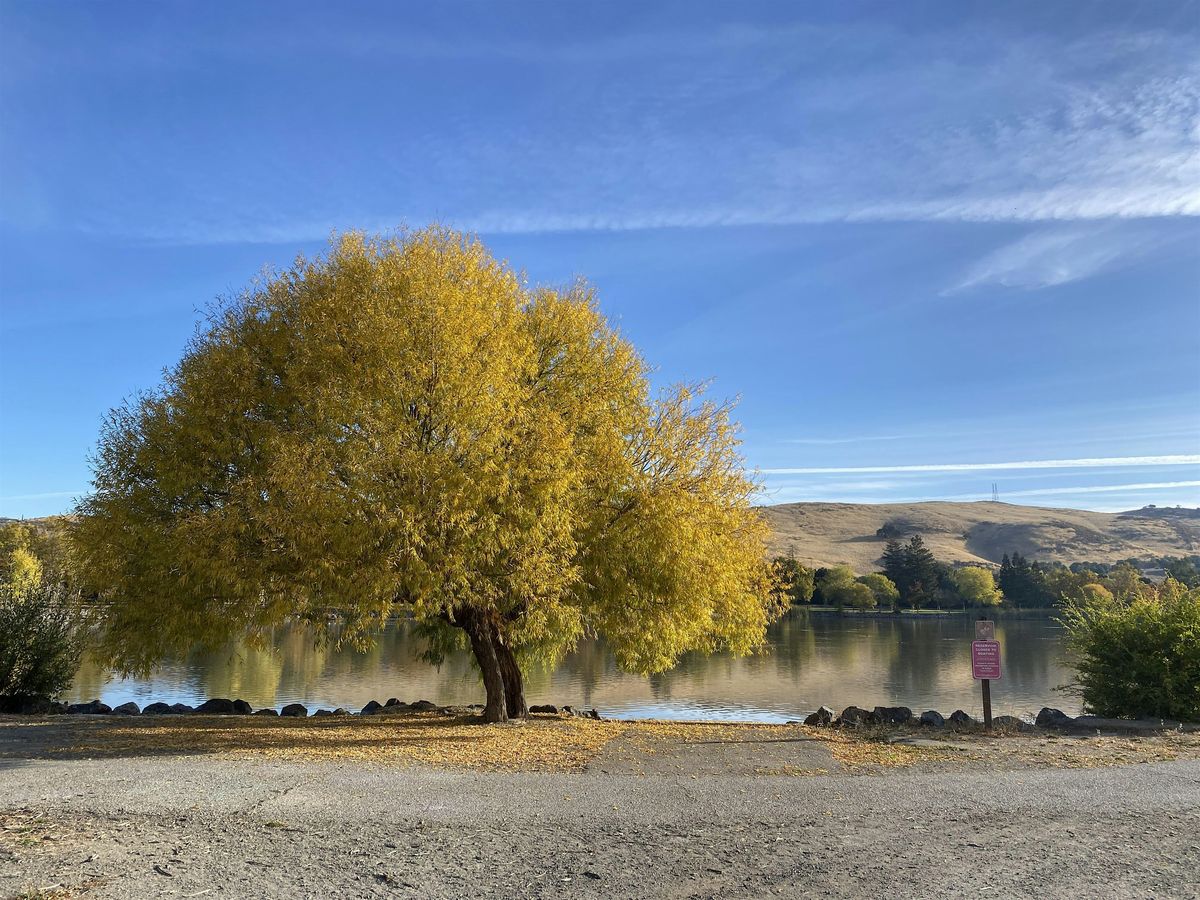 Fall BioBlitz at Hellyer Park