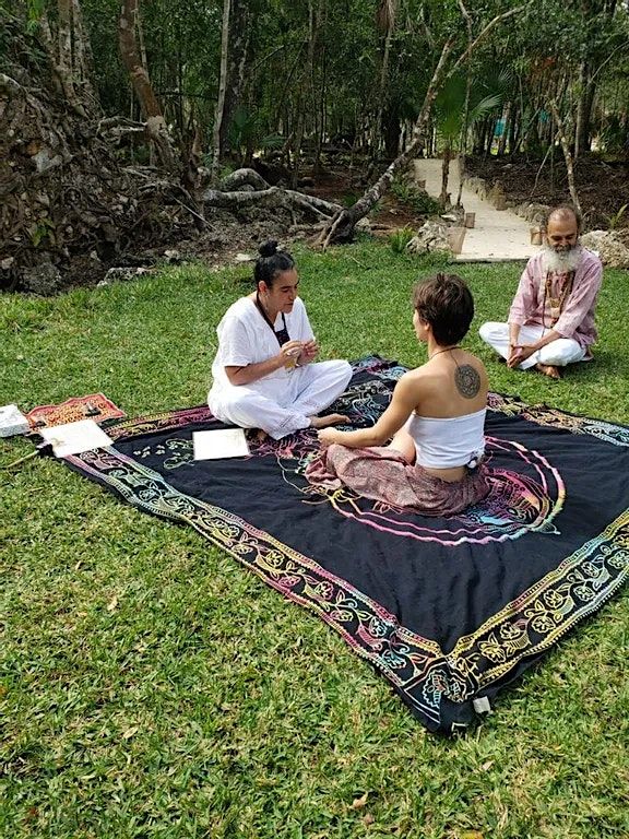 Bufo Avarius Session in the Tulum