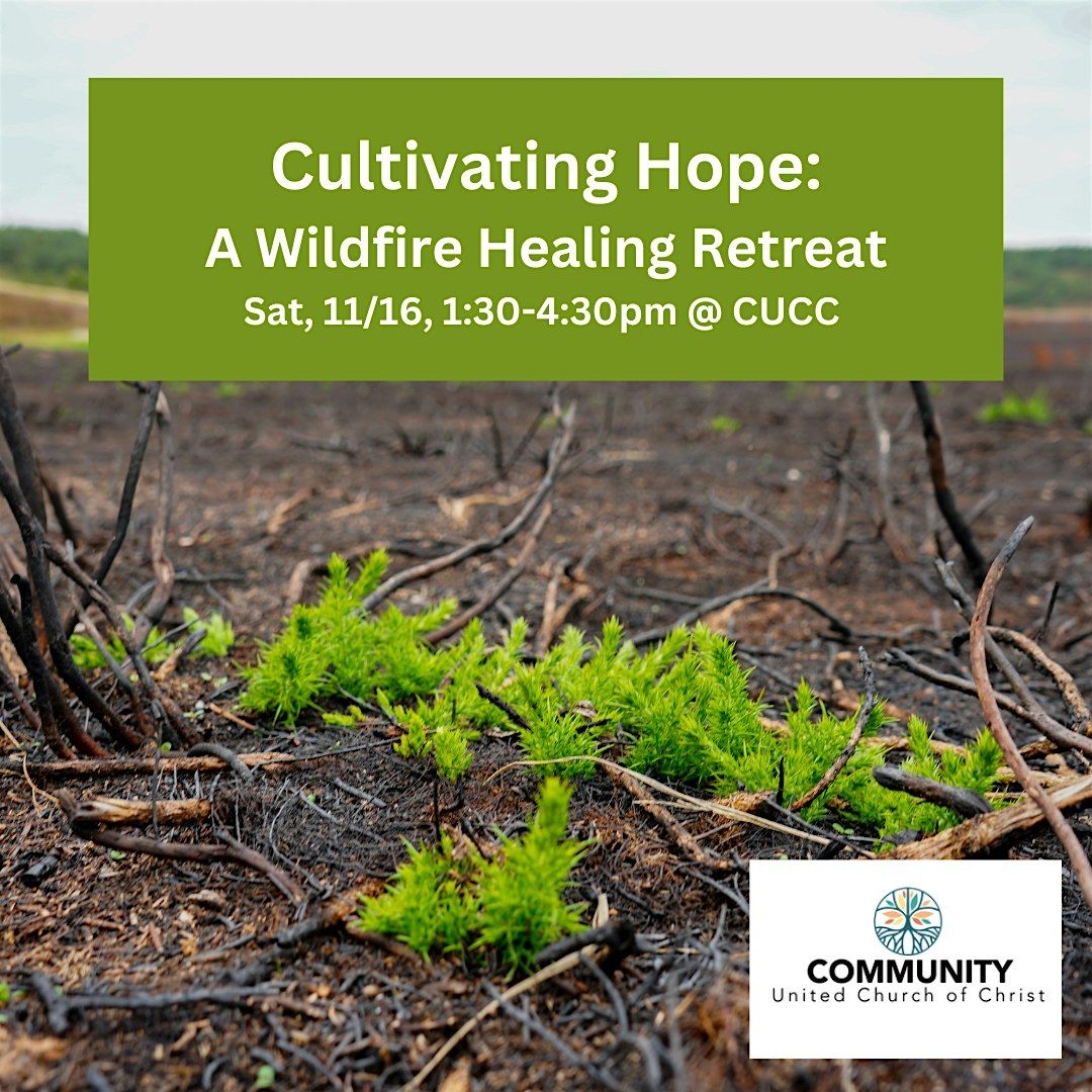 Cultivating Hope: A Wildfire Healing Retreat