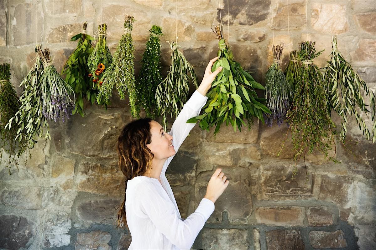 Harvesting & Drying Herbs Workshop