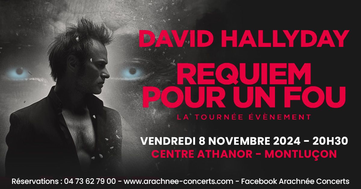 David Hallyday au Centre Athanor de Montlu\u00e7on