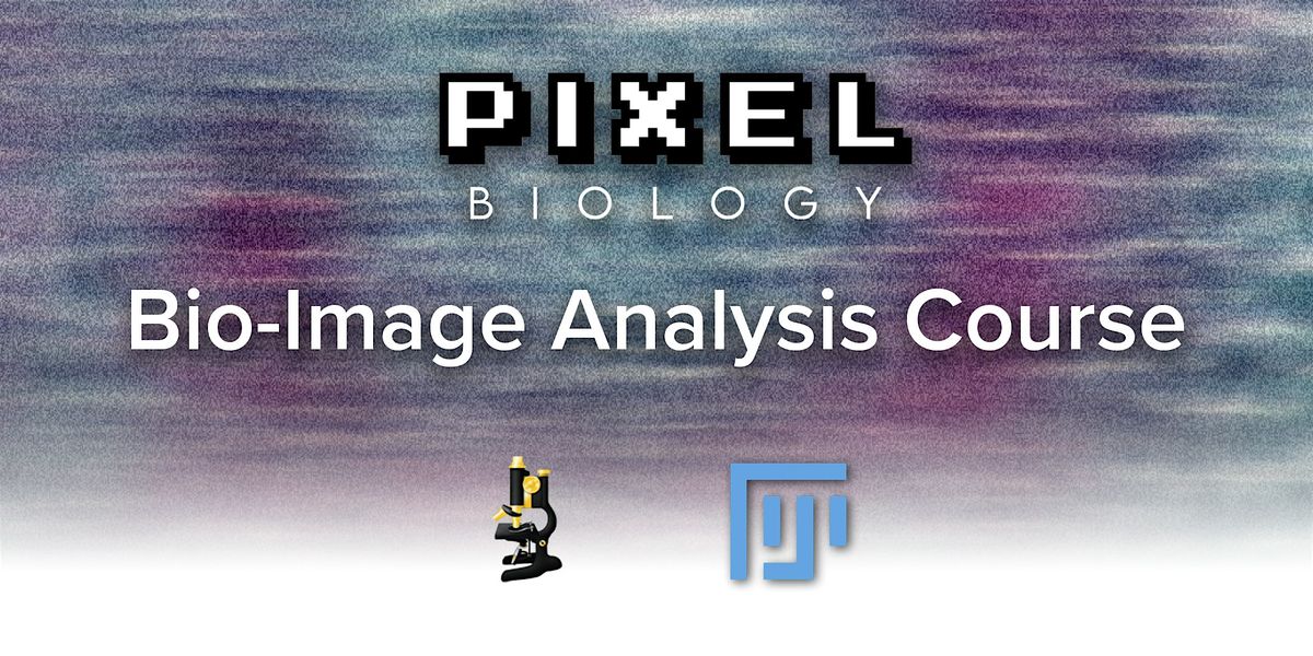 Image Analysis course with Fiji\/ImageJ