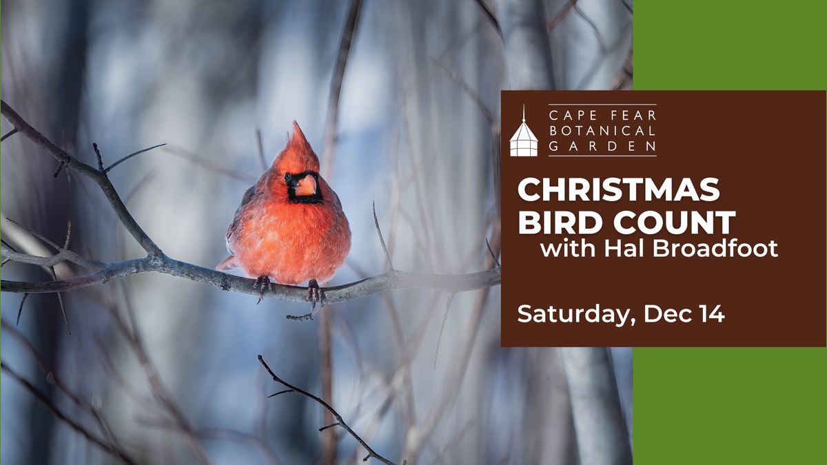 Christmas Bird Count with Hal Broadfoot