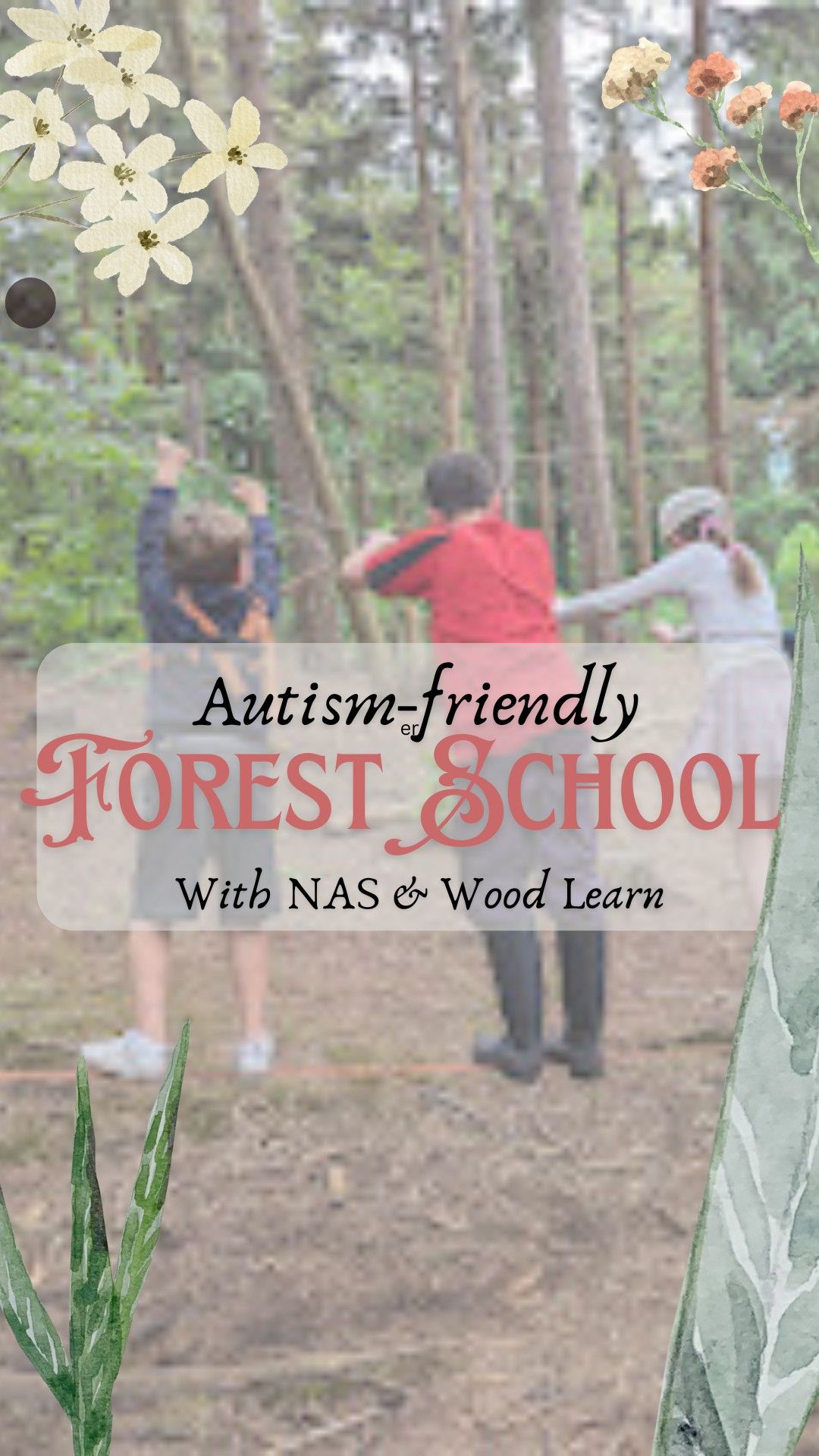 SEN-friendly Forest School 