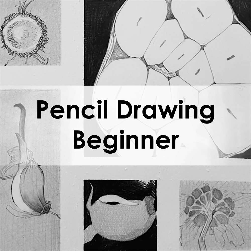 Pencil Drawing | Beginner