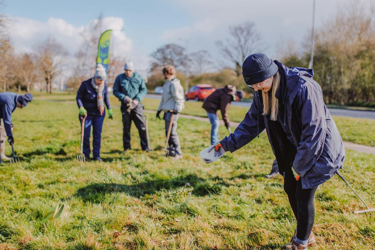 National Tree Week - Woodland creation - Colinton Playing Fields