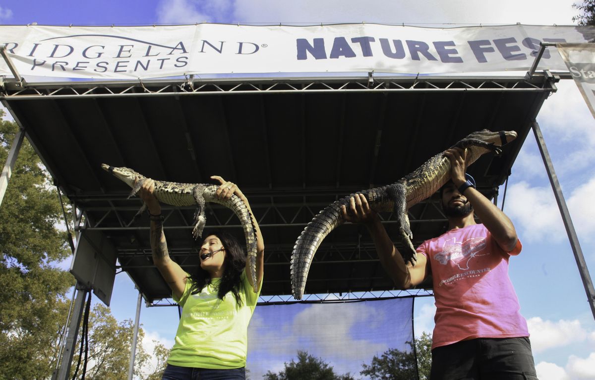 Bridgeland Nature Fest 2022, Oak Meadow Park, Cypress, 29 October 2022