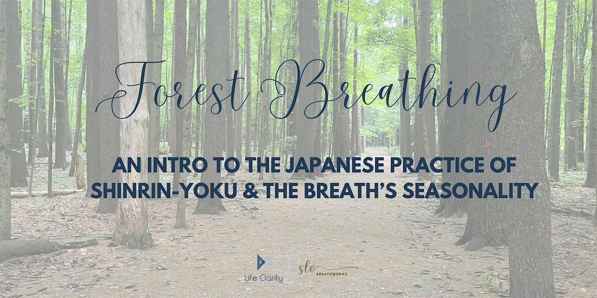 Forest Breathing: An Intro to Shinrin-Yoku and The Breath's Seasonality