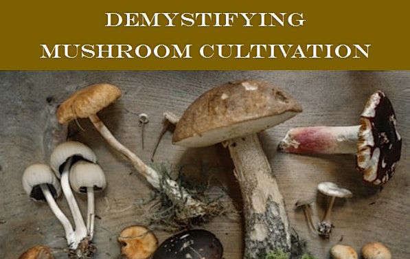 Demystifying Mushroom Cultivation