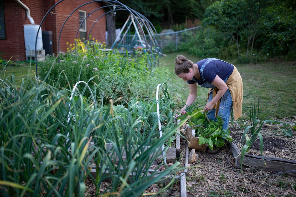 Homestead tour and intro to garden planning 