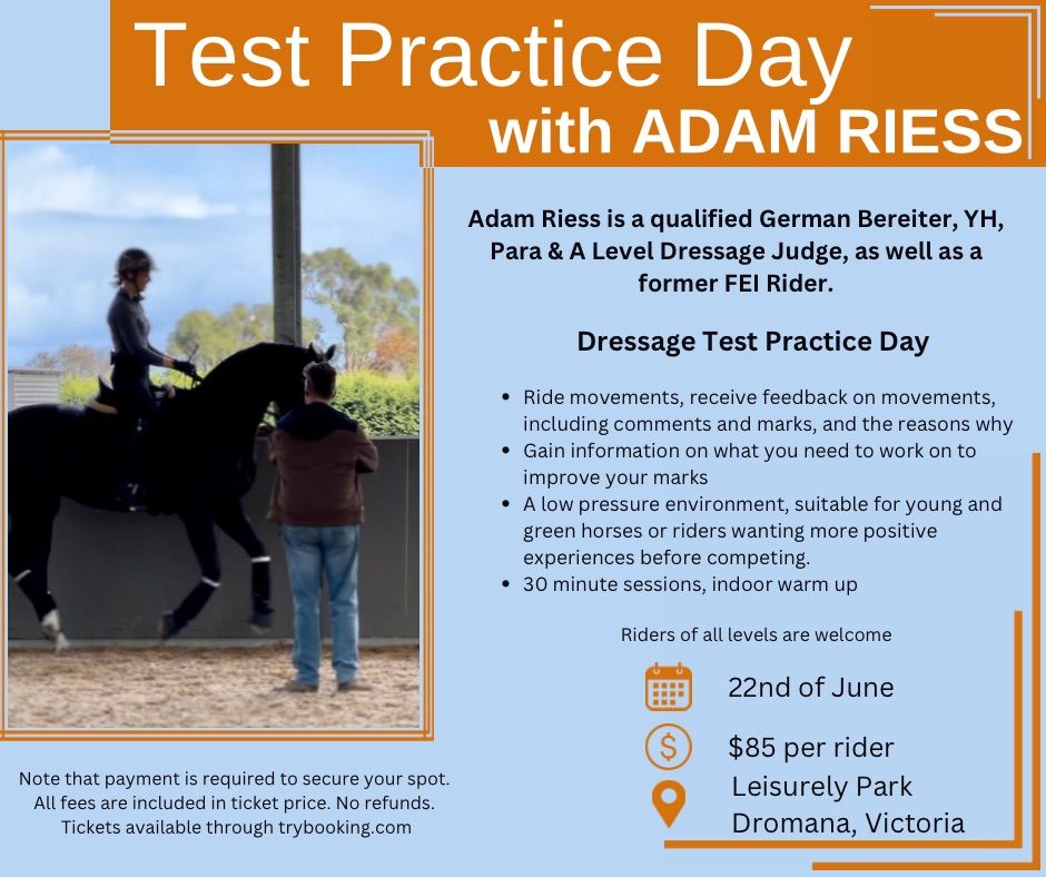Dressage Practice Day - All Levels Welcome