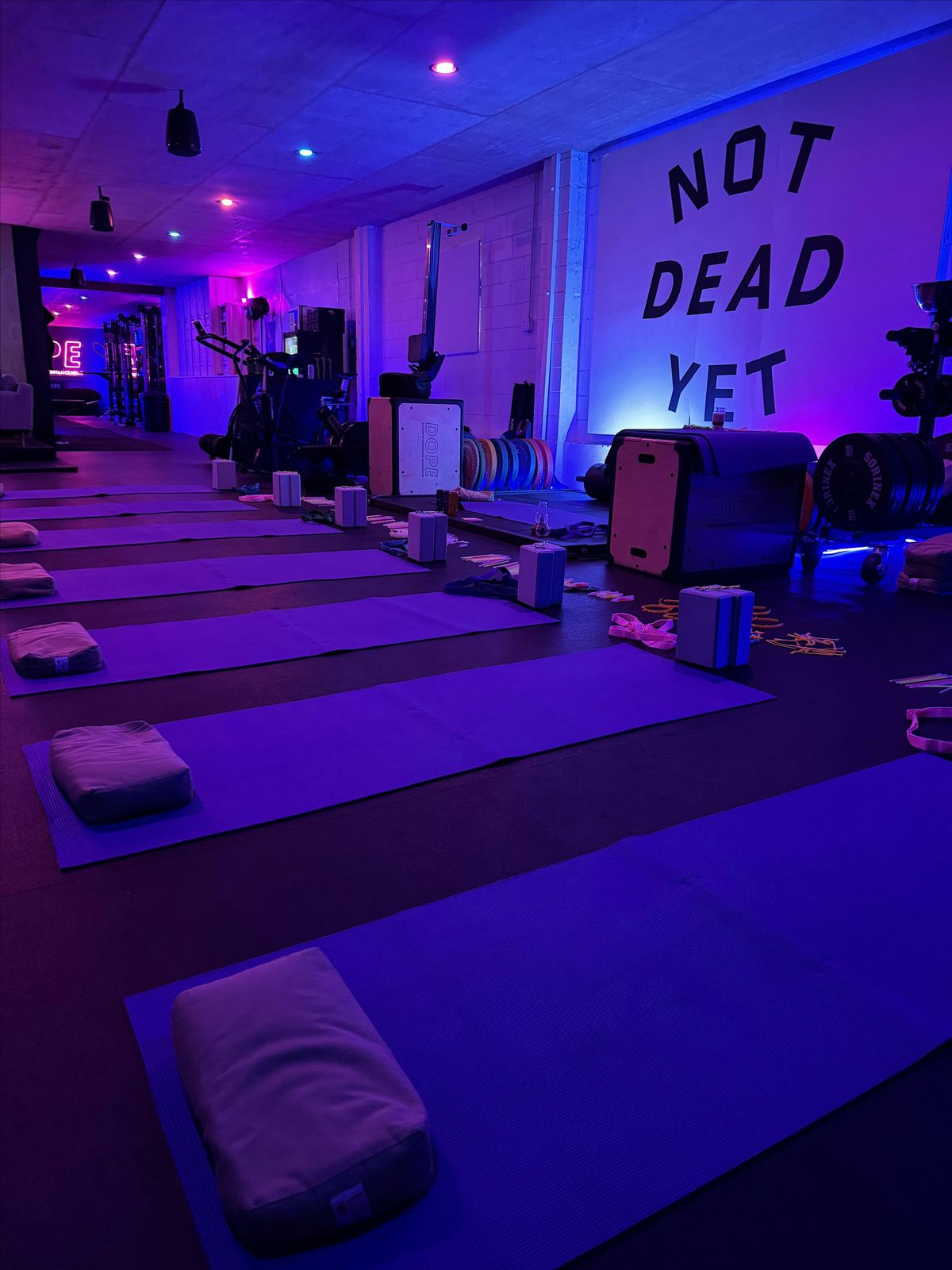 Elevated Yoga at DOPE