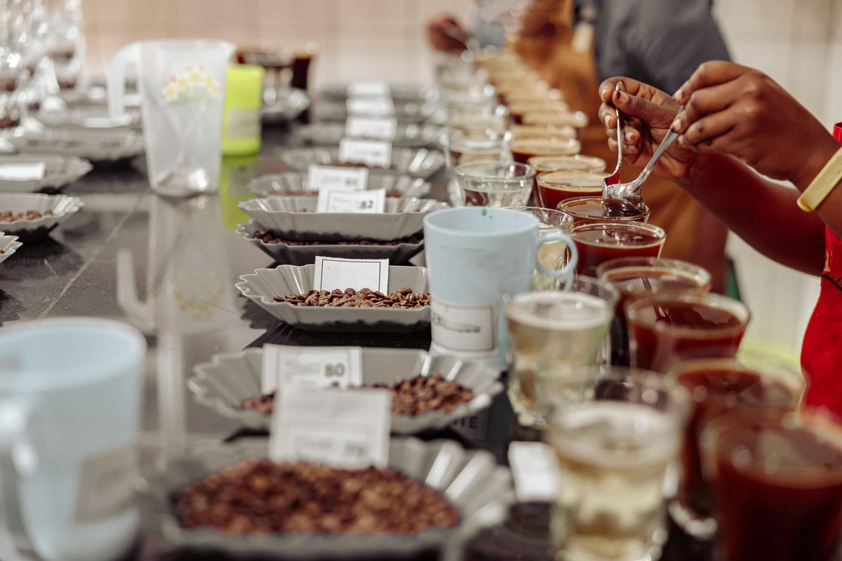 Infusion Coffee and Tea: International Coffee Tasting