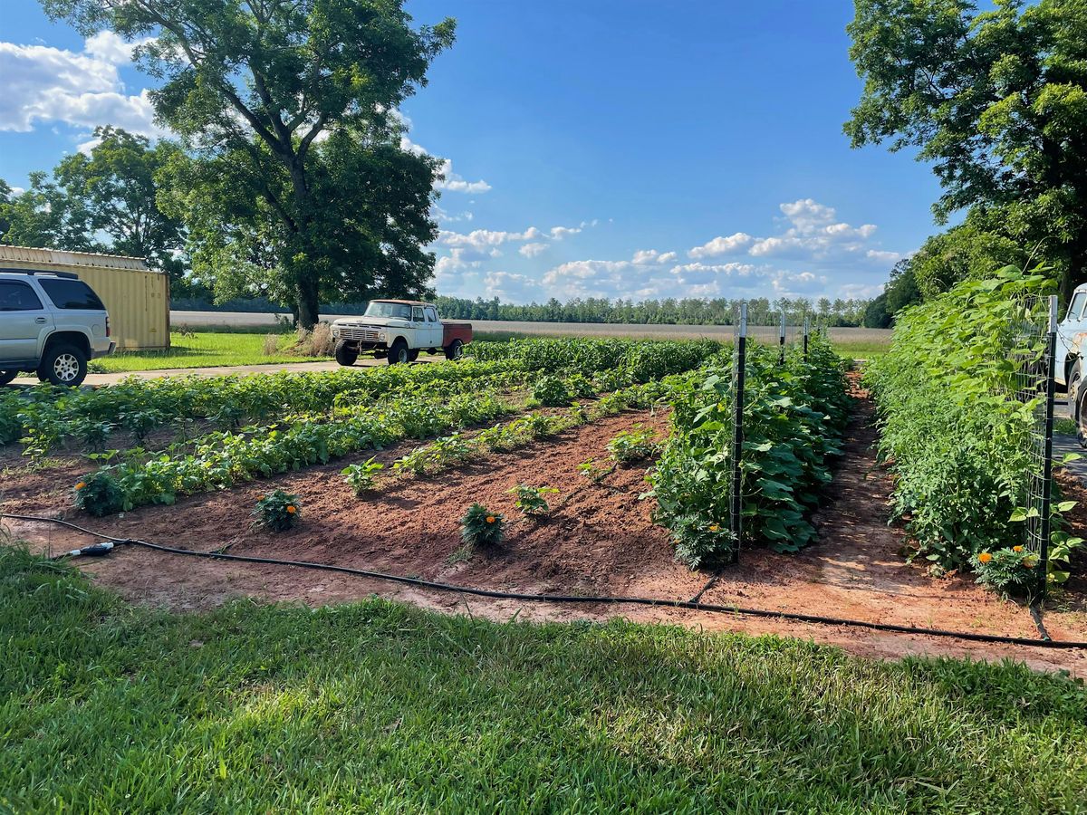 4-H Family Freedom Garden               Series 2024 -25