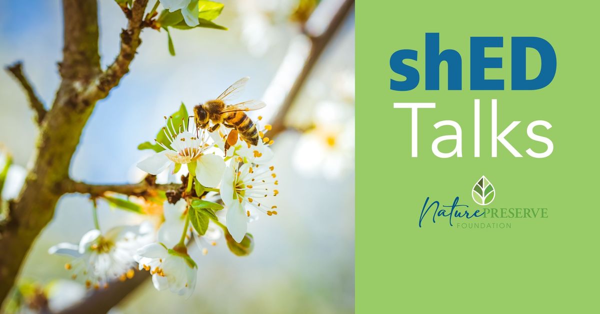 shED Talk: Nature's Palette: Exploring the Relationship Between Pollinators and Flowers