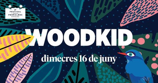Woodkid - 9\u00e8 Festival Jardins Pedralbes