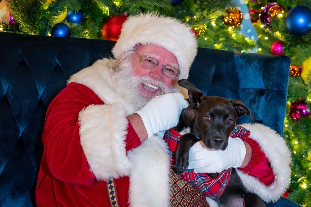 Pet Photos with Santa