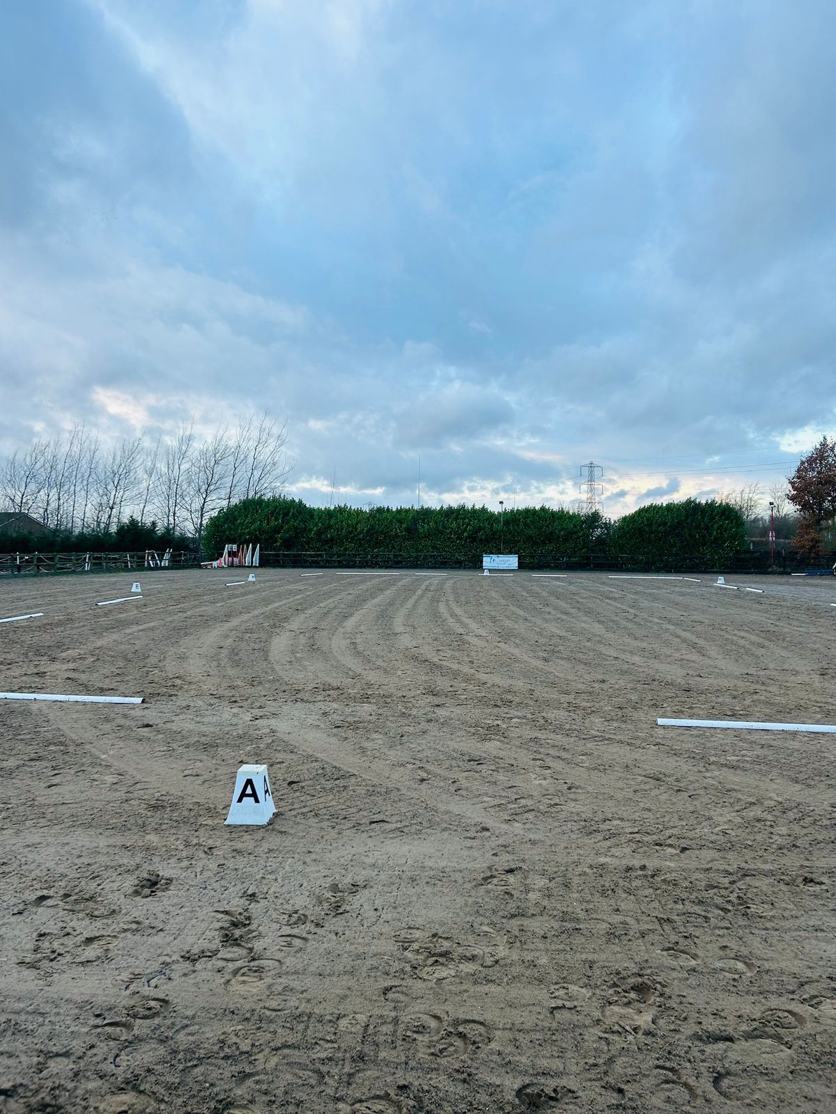  Stressless dressage\/points league with introduction of PAIRS DRESSAGE!
