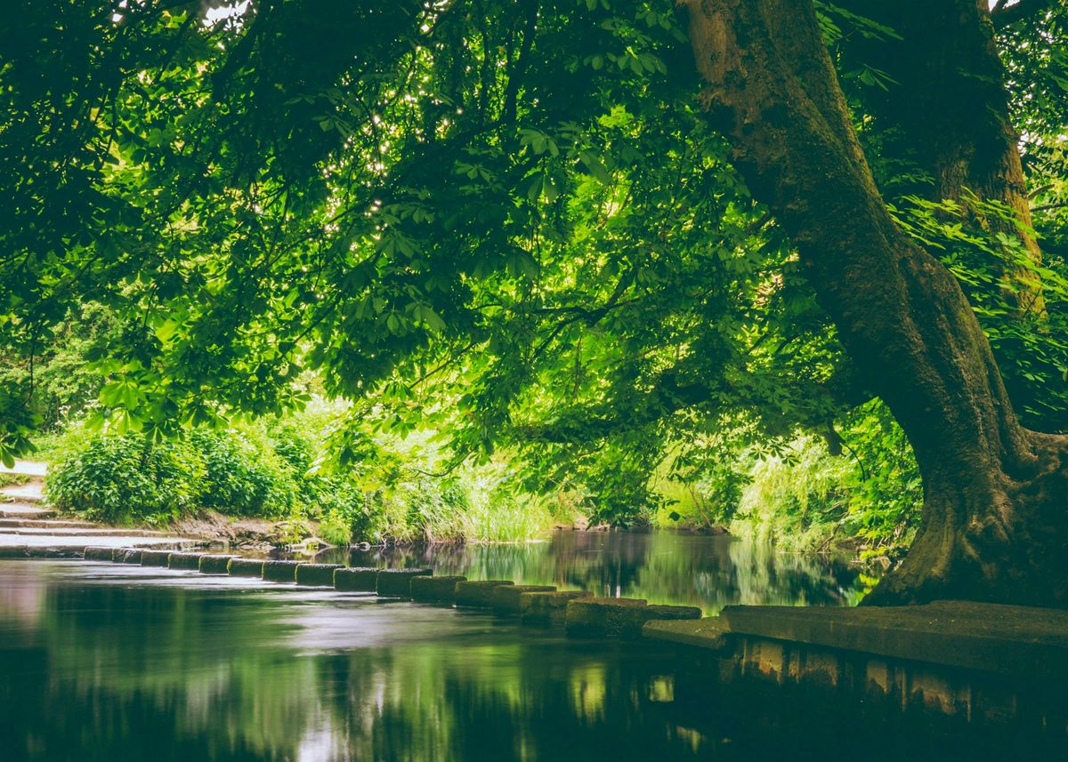 NEW HIKE: The famous BOX HILL and the STEPPING STONES, the easier way