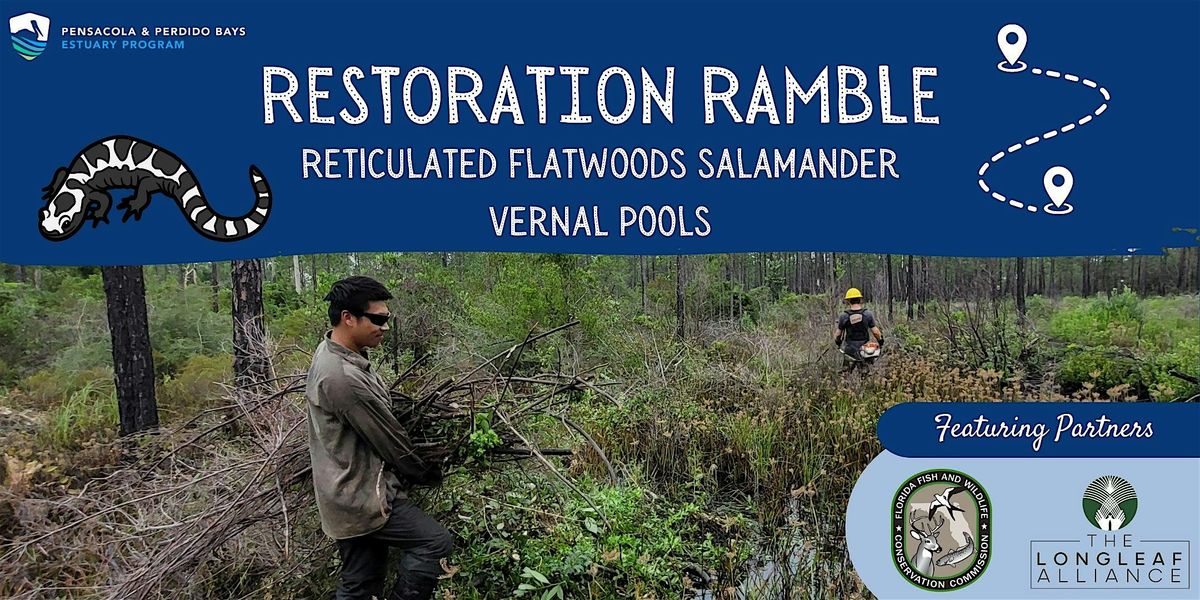 Restoration Ramble: Reticulated Flatwoods Salamander Vernal Pools