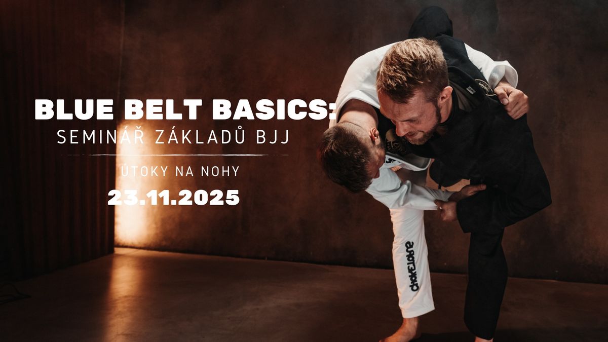 Blue belt basics : \u00datoky na nohy 