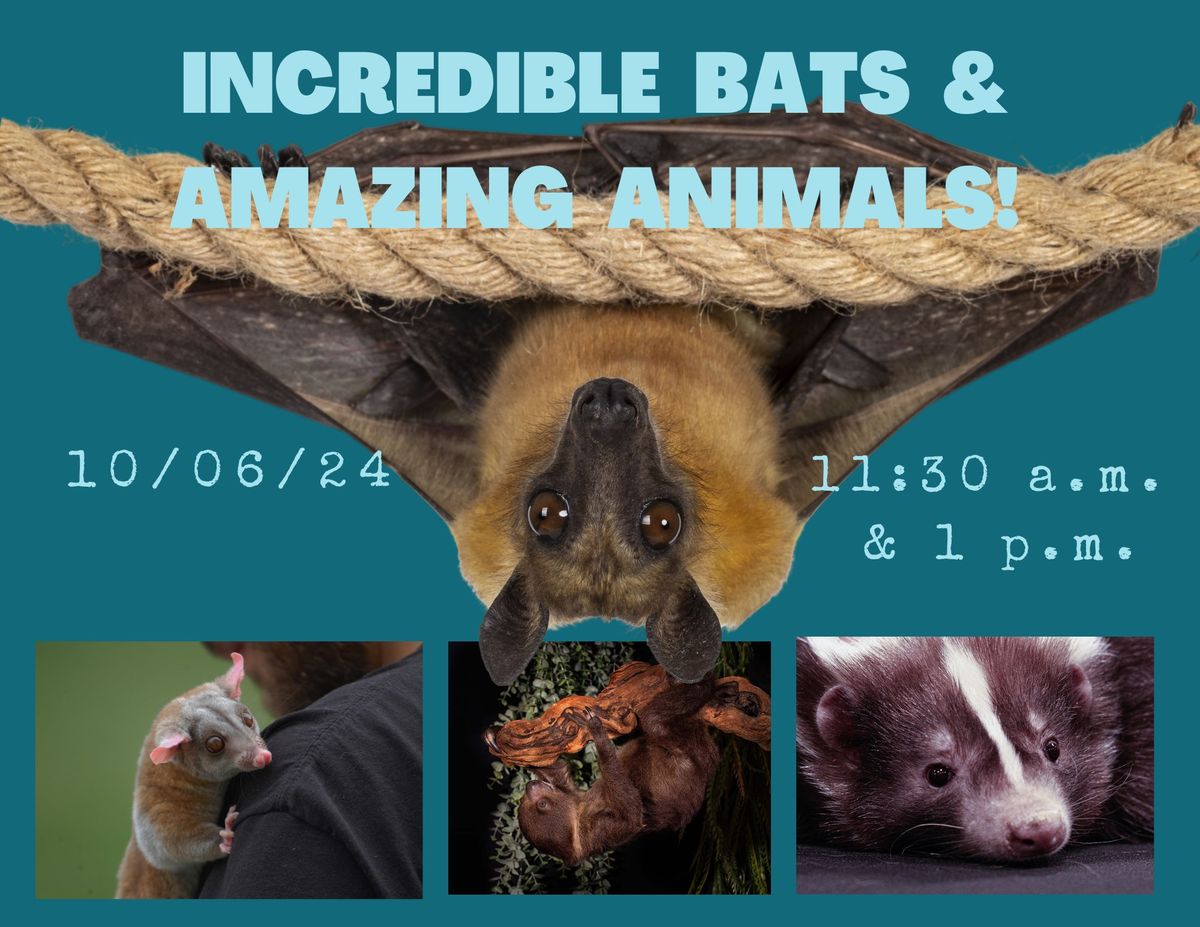 Incredible Bats and Amazing Animals-Limited Seating-2 shows