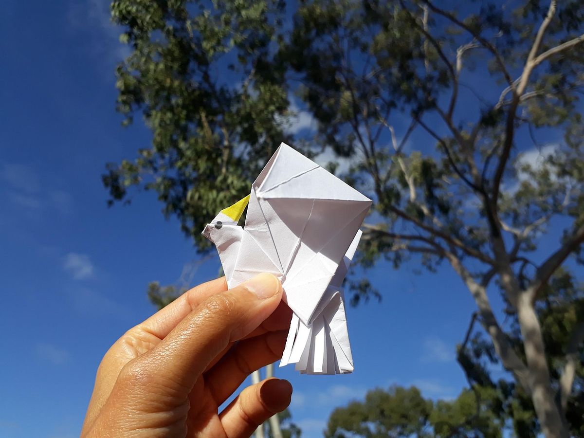 Origami Cockatoo with Machiko Motoi (6-12 Years)