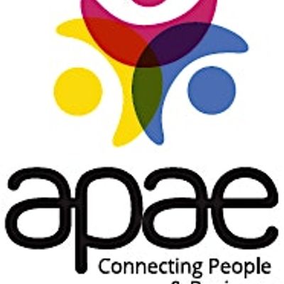 APAE (Asociaci\u00f3n de Profesionales Aut\u00f3nomos y Empresas)