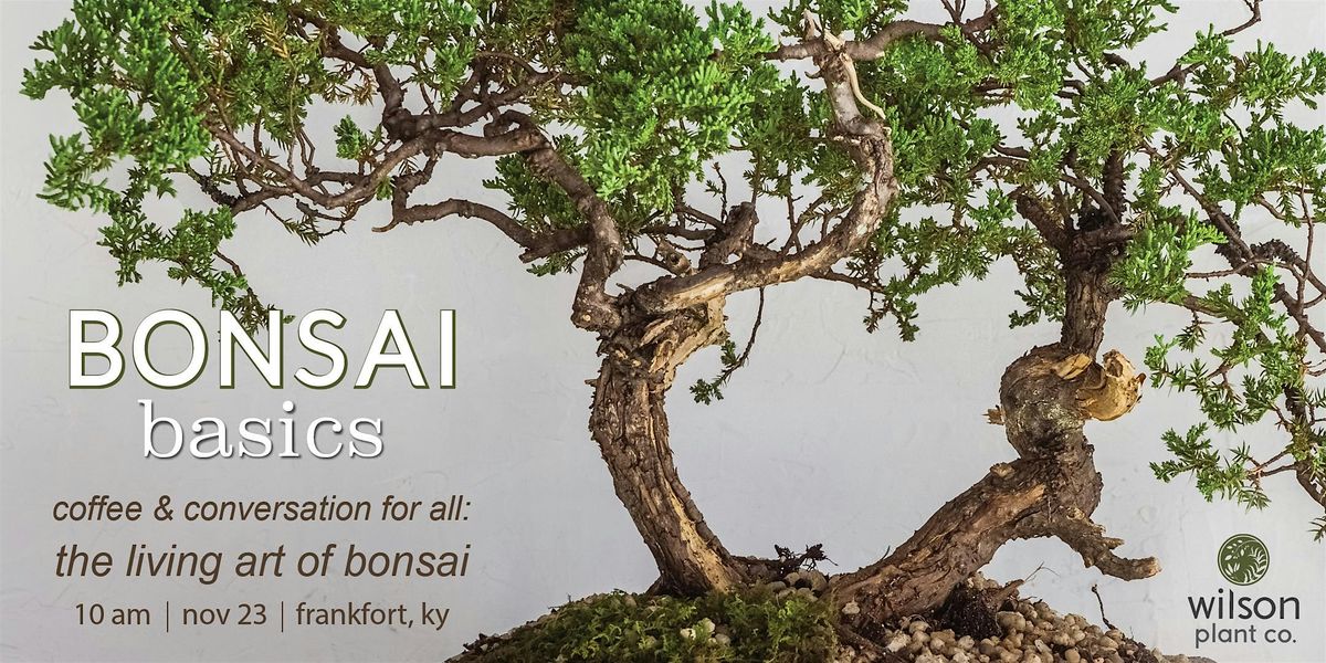 Bonsai Basics