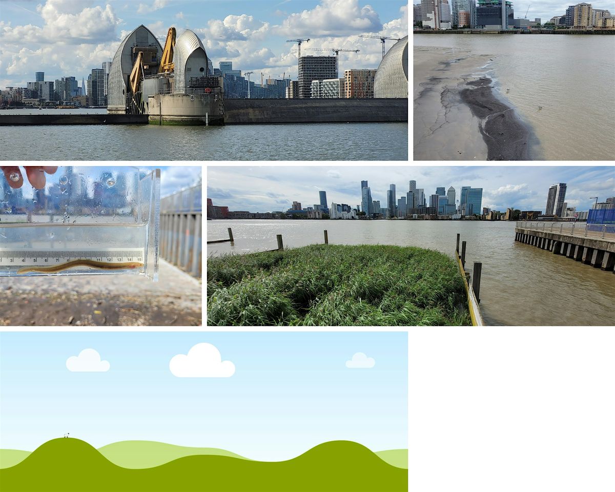 A Short Introduction to the Thames Estuary - Guided Walk #TotallyThamesFest