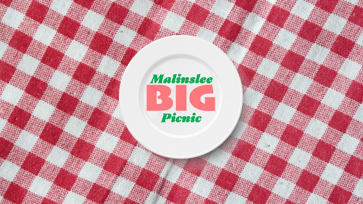 Malinslee Big Picnic