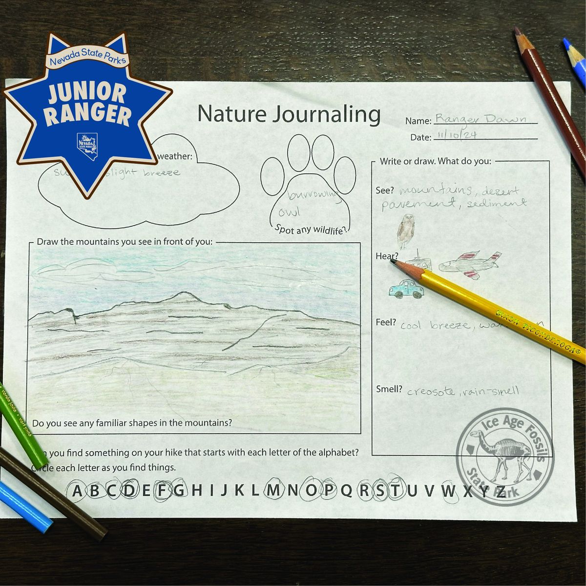 Junior Ranger Nature Journaling