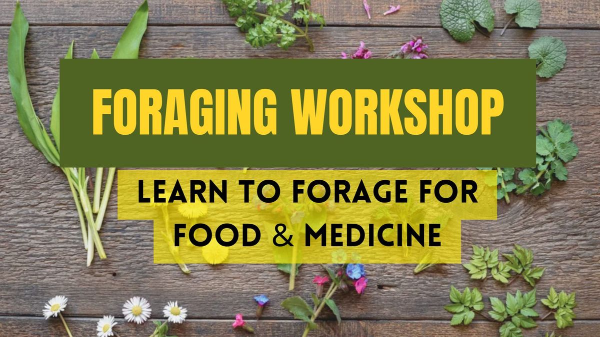 Foraging Workshop