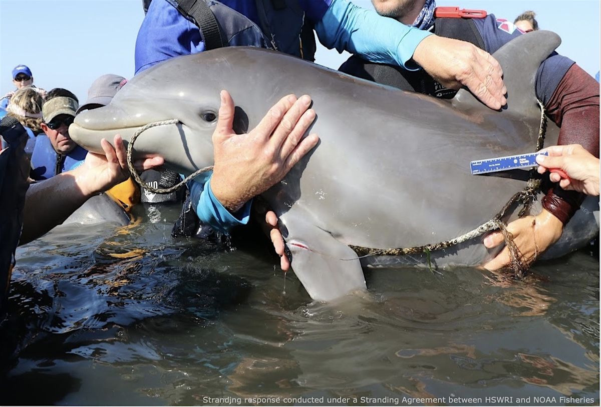 Conservation at the Crossroads: HSWRI's IRL Conservation Efforts