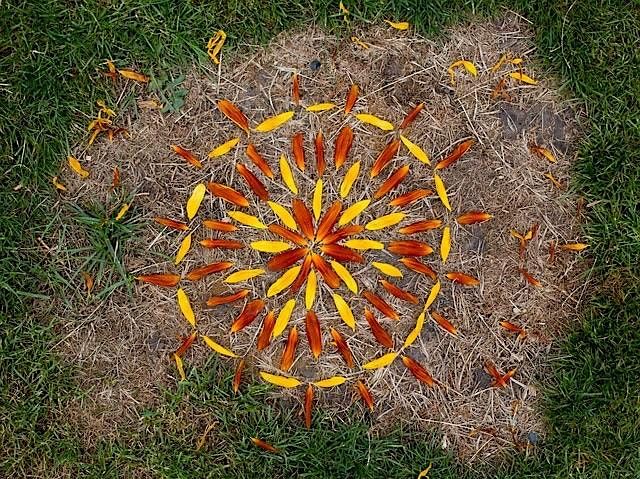 Mandalas in Nature, Kathleen Clay Edwards Family Branch, Greensboro, 25 ...