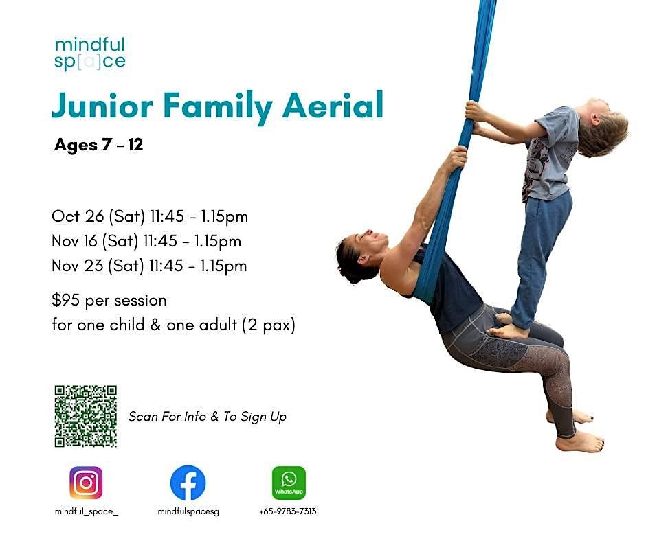 Junior Family Aerial (Age 7-12)