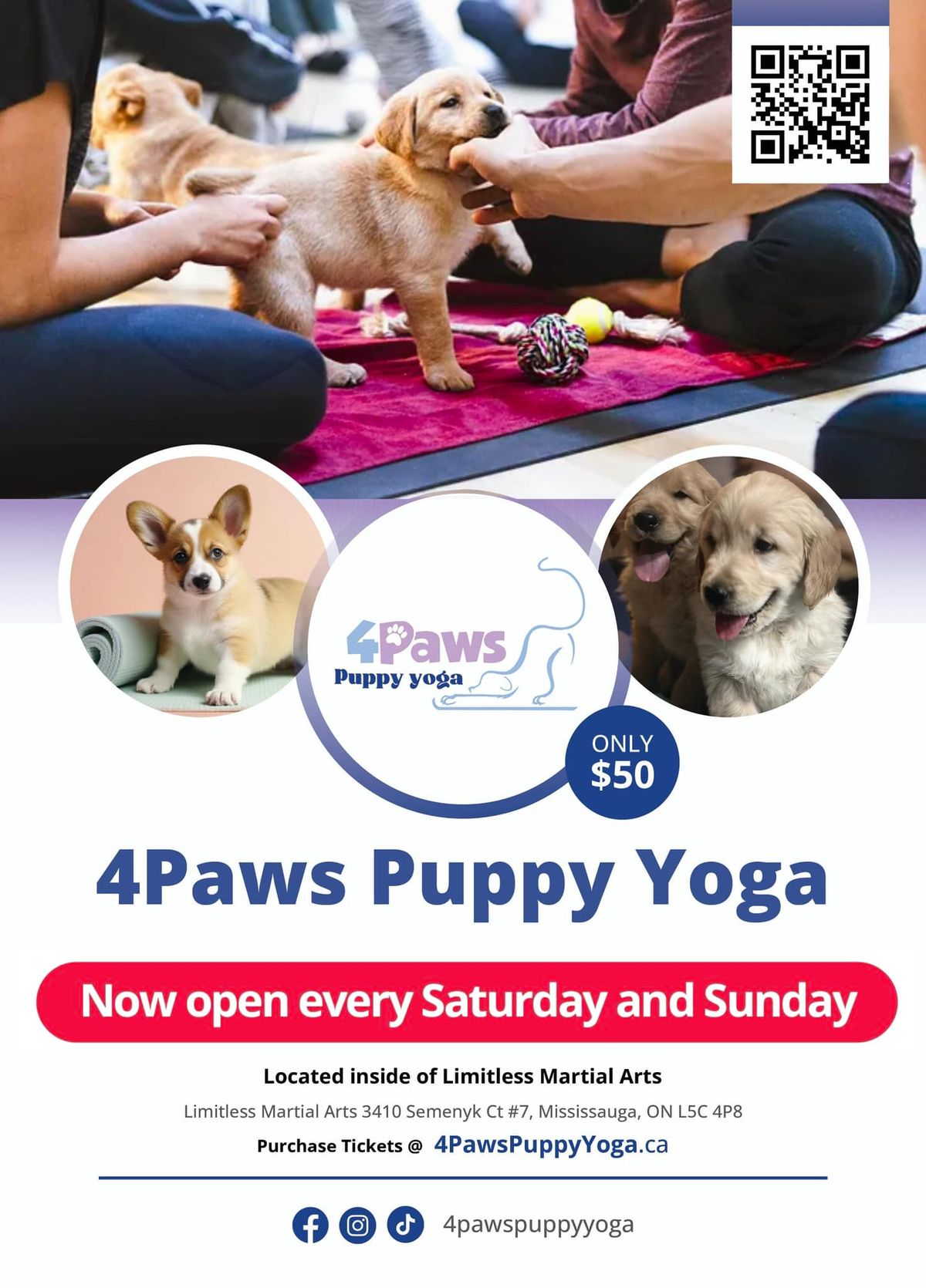 4Paws yoga with roaming pups 