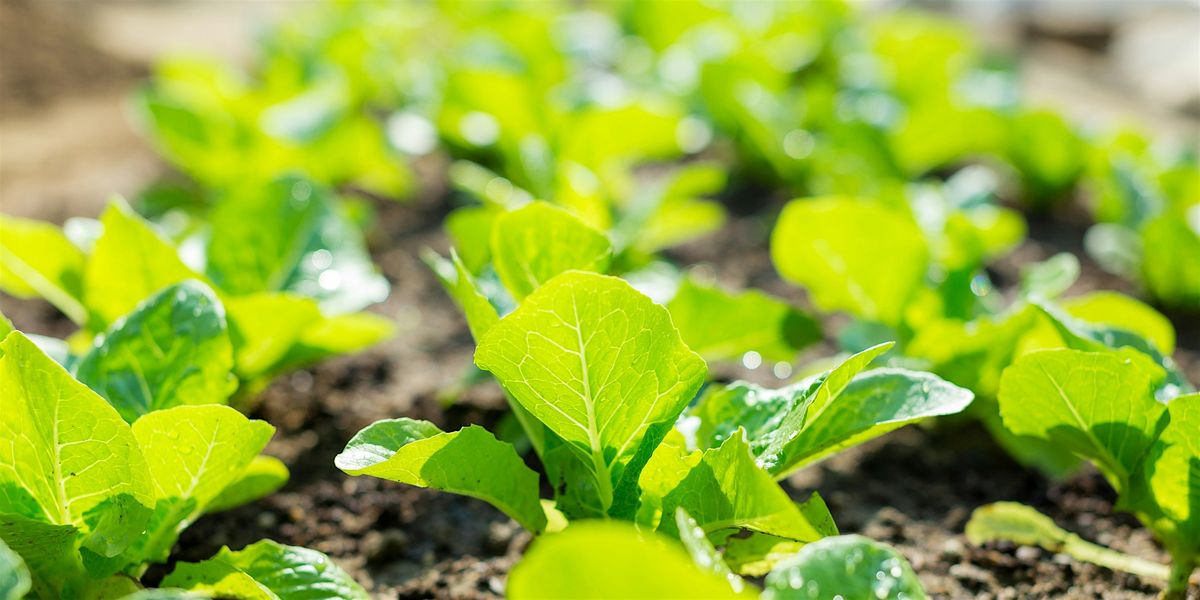 Growing Organic: Field Day at Duncan Family Farms