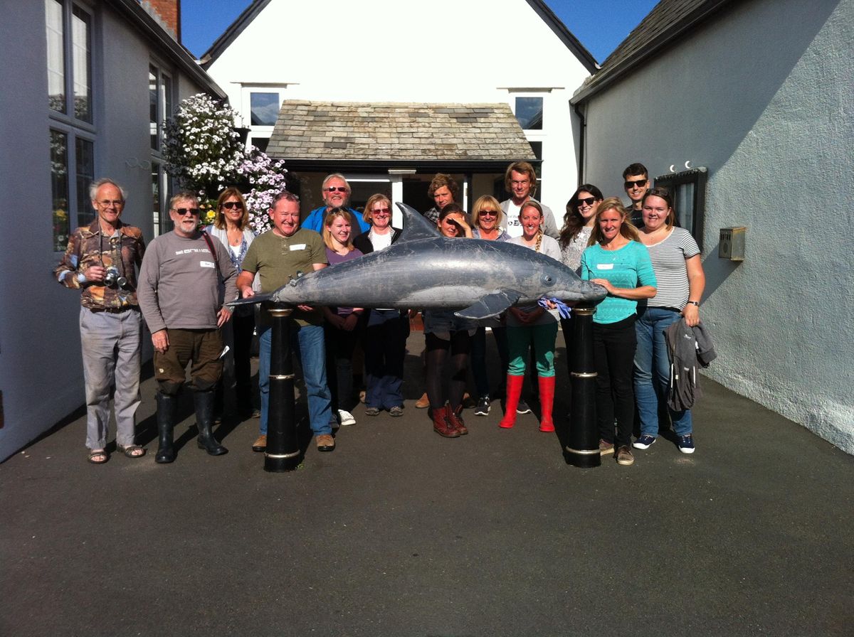 Marine Strandings Network Volunteer Training 2022