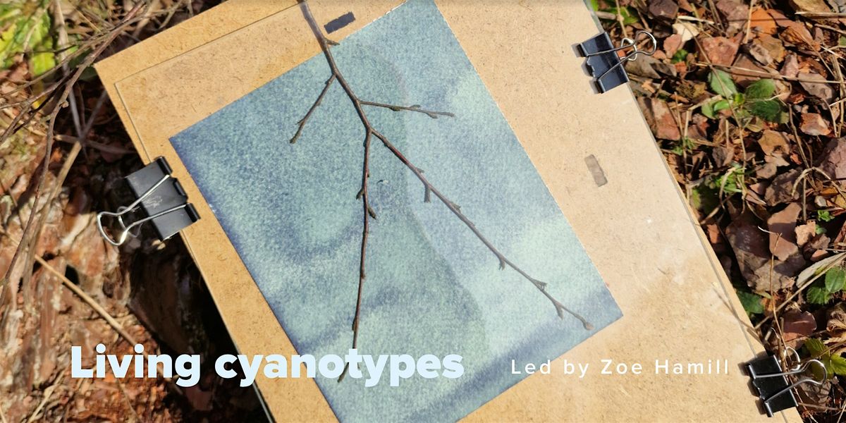 WORKSHOP \/\/ Living cyanotypes