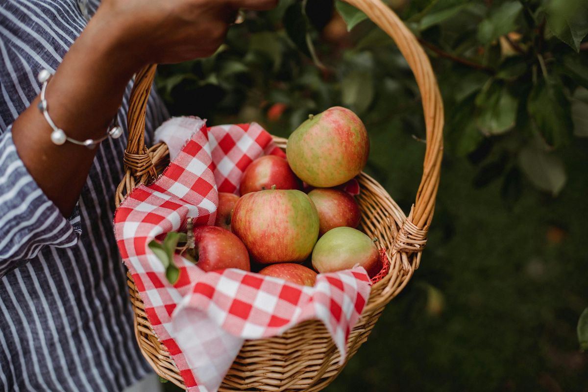 Apple Fest