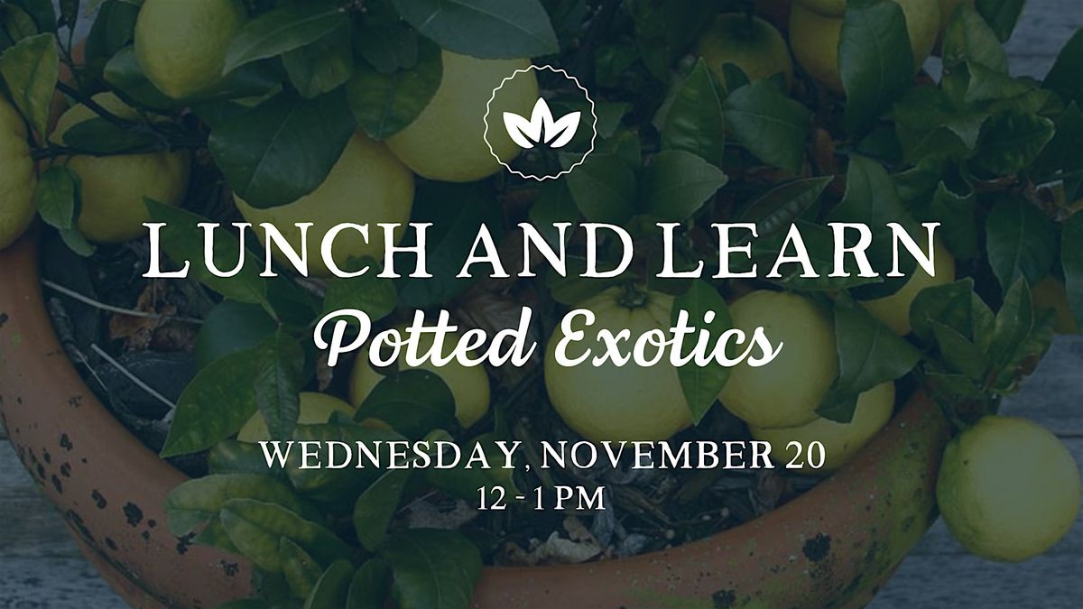 Lunch & Learn: Potted Exotics