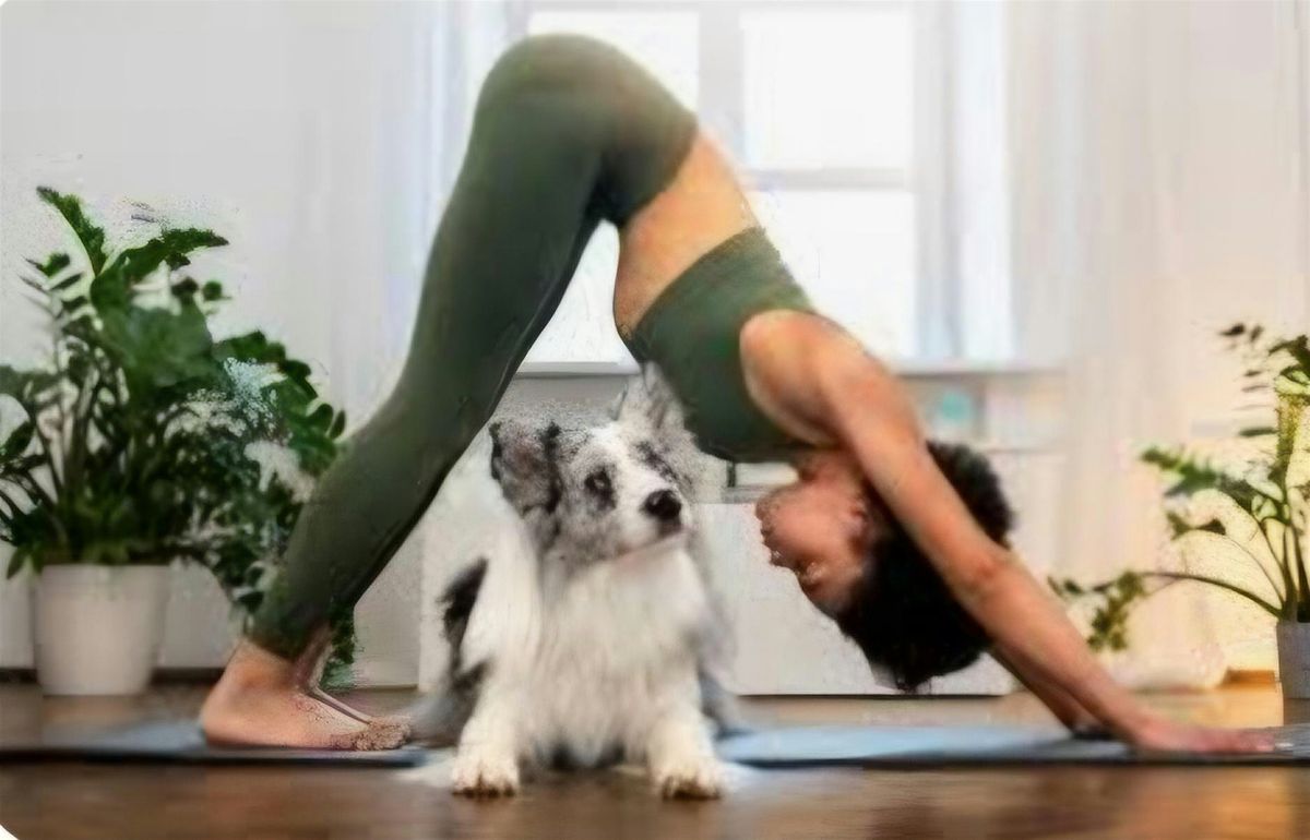 DOGGIE YOGA AND MEET AND GREET WITH PAWS RESCUE LEAGUE