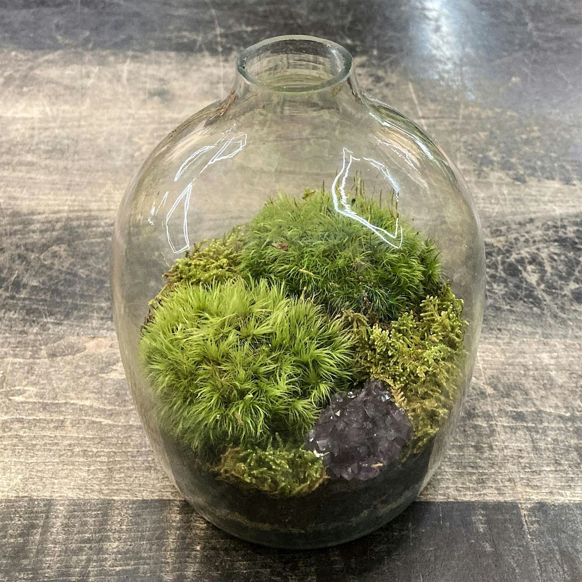 Terrarium Workshop