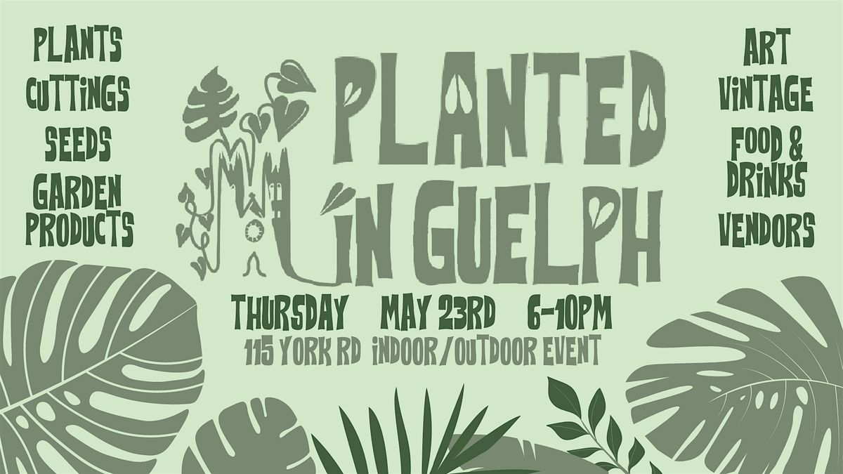 Ward Night Market | Planted in Guelph