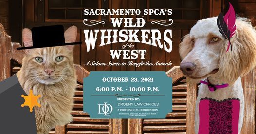 Sacramento SPCA's Fall Gala & Online Auction