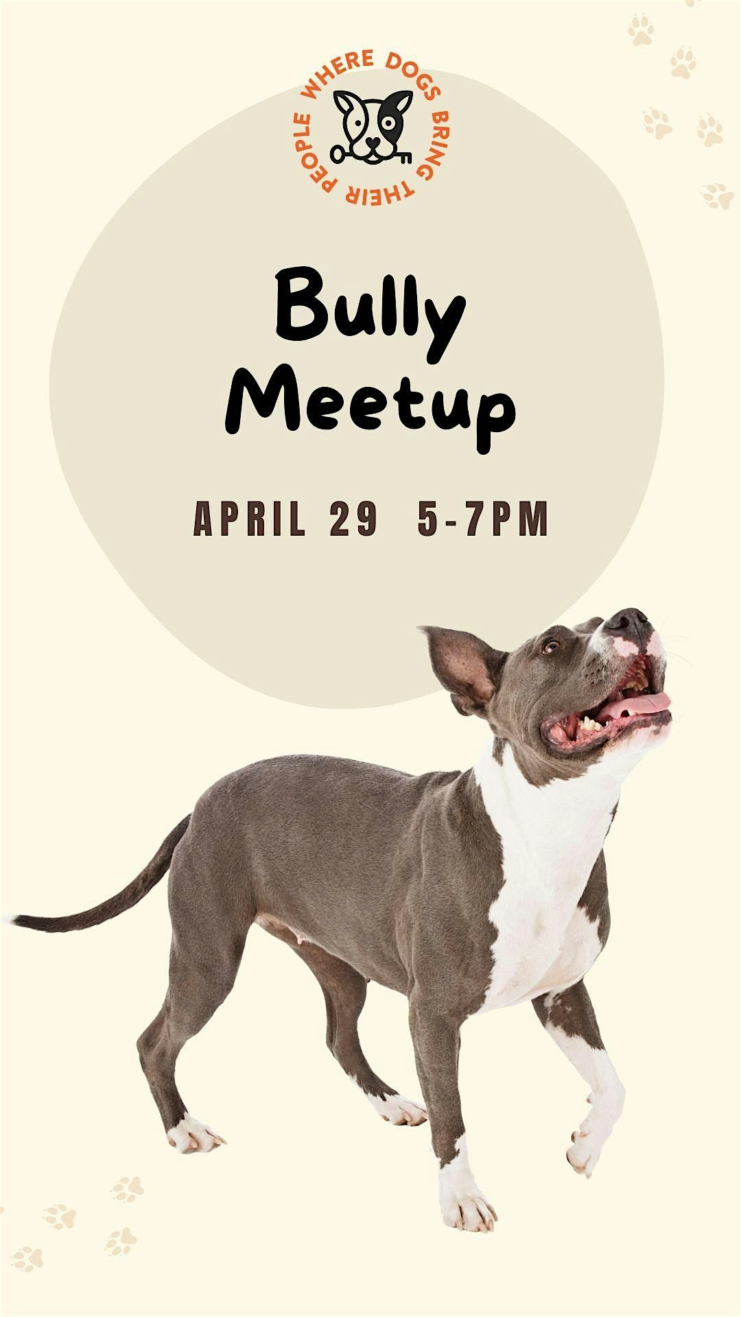 Bully Meetup at The Dog Society